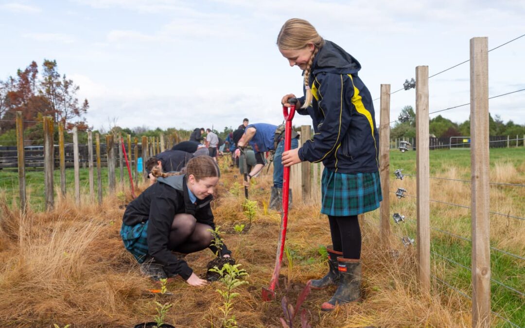 Trustees dig deep to plant trees for Wairarapa College Farm